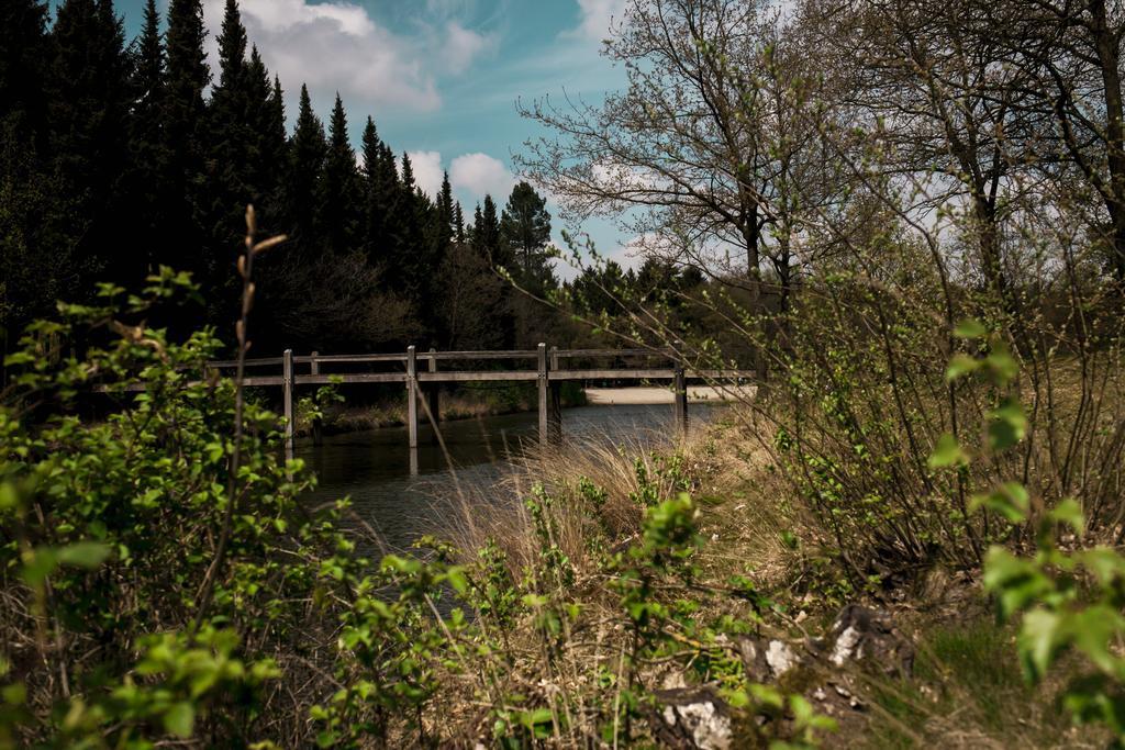 Bed and Breakfast Rheezerstee Екстер'єр фото
